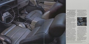 1985 Lincoln Full Line Prestige-08-09.jpg